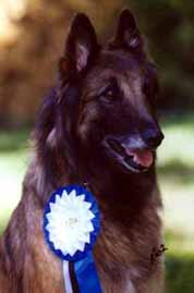 Aloween-Heart05.06.2002-7v3kk.JPG (12917 bytes)