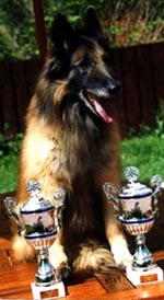 HaloweenDeLaClairiereAL19.6.2004-12vuotta.jpg (20518 bytes)