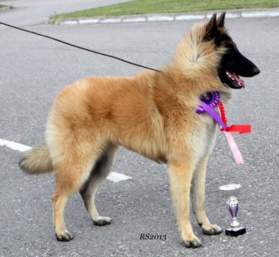 Olympia vom Lambertshügel 13.07.2013 - 9 kk. Luna.RS11.jpg (58079 bytes)