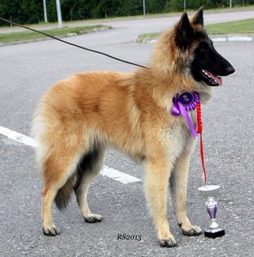 Olympia vom Lambertshügel 13.07.2013 - 9 kk. Luna.RS7.jpg (60490 bytes)