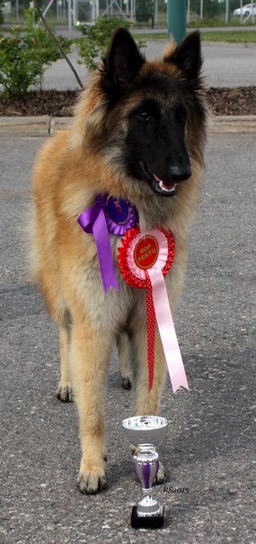 Olympia vom Lambertshügel 13.07.2013 - 9 kk.RS1.jpg (122682 bytes)