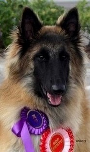 Olympia vom Lambertshügel 13.07.2013 - 9 kk.head,RS3.jpg (32807 bytes)