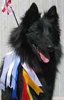 RegalRebelLahtiKv27.04.2003.ROP5.SS.JPG (10865 bytes)