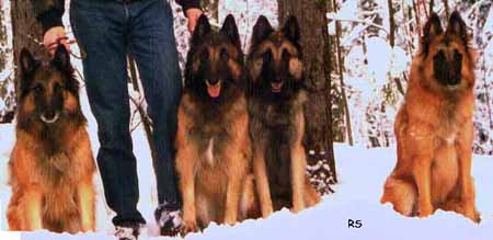 BaloweenBaby2.JPG (29752 bytes)