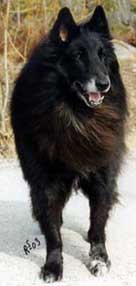 FrenchyDeLaDoucePlaine30.03.2003-13v.2.JPG (9884 bytes)