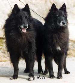 FrenchySeriosOrleans30.03.2003.n.13vuotta.JPG (25202 bytes)