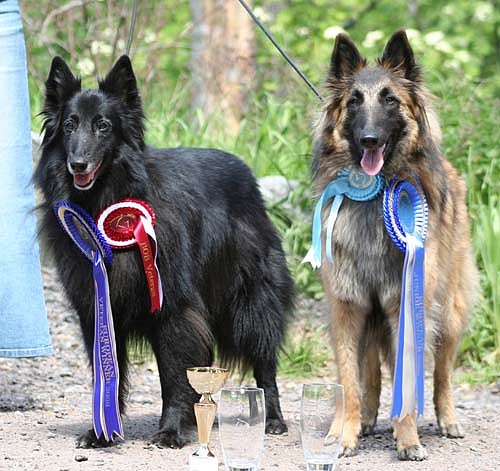 HolyHonesty.Jazzy-Fame11.06.2006-EuVV.jpg (78659 bytes)