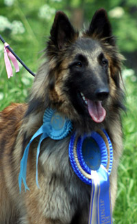 Jazzy-Fame11.06.2006-EuJV-06.head.IP2.jpg (35106 bytes)