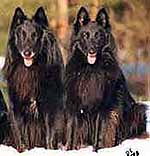 ladyfre.jpg (10468 bytes)