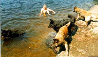 life.jpg (564353 bytes)