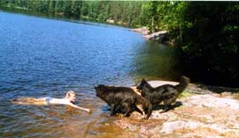 life1.jpg (100444 bytes)