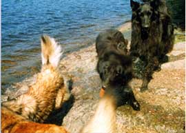 life10.jpg (83116 bytes)