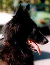 tidy.jpg (10125 bytes)