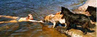 life2.jpg (55339 bytes)